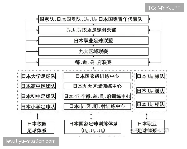 足球青训规则详解：培养体系与比赛参与的关键标准